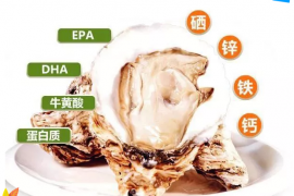 中医医学对牡蛎肽的不同认识