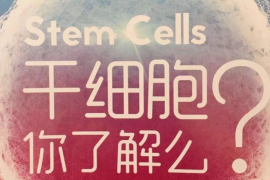 干细胞对身体有什么好处,干细胞的费用一般是多少