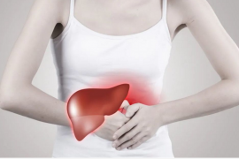 小分子肽会以这些方式影响到你的肝脏，一定要知道！