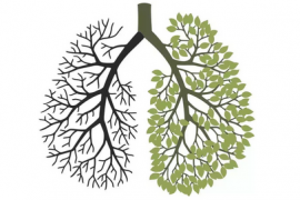 最新发现 | 肺多能干细胞“跨界”参与肺再生！