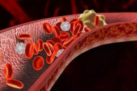地龙蛋白肽预防和溶解血栓的"真功夫"