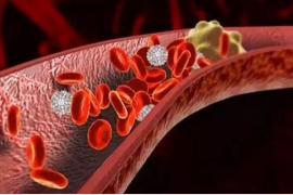 活性地龙蛋白是如何成为保护血液和血管健康的“多面手”？