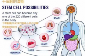 骨髓间充质干细胞免疫学特性与自身免疫系统疾病