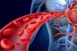 治疗心血管疾病的方法有哪些？干细胞能心血管疾病吗？
