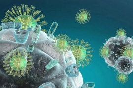 小分子肽对免疫力的影响主要表现的哪些方面