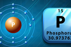 磷的生理功能与磷缺乏症状