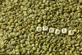 绿咖啡提取物的养作用？绿咖啡提取物对肝脏好吗