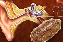 干细胞疗法对老年性耳聋效果怎么样，干细胞疗法与耳聋