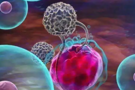 T细胞免疫疗法能治疗宫颈癌吗？关于细胞免疫疗法在治疗宫颈癌和HPV感染中的应用