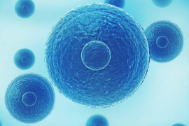 什么是干细胞？什么是免疫细胞？储存哪一种效果好？