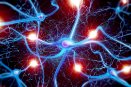 干细胞修复神经元方面的最新报道，干细胞疗法让中风后遗症人群看到新希望！