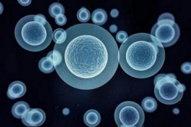 干细胞对免疫力的效果怎么样，干细胞与抗衰老