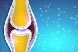 喝胶原蛋白肽对修复膝关节好吗