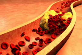 地龙蛋白与改善心脑血管血液循环