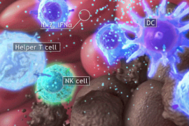 什么是干细胞?干细胞在身体中的作用