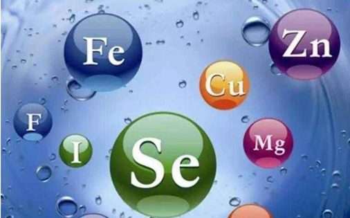 小分子肽有利于矿物元素等的吸收和利用.png