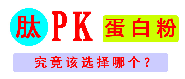 肽PK蛋白粉副本.jpg