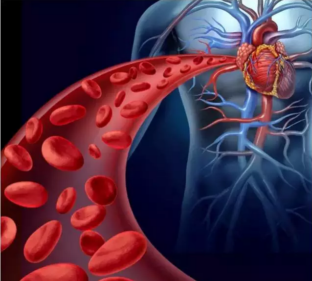 干细胞对心脏病的改善作用.png