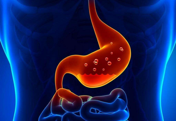 肽对肠胃功能的改善.png