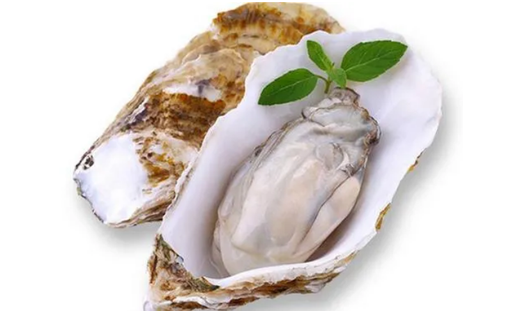 牡蛎肽的功能与作用.png