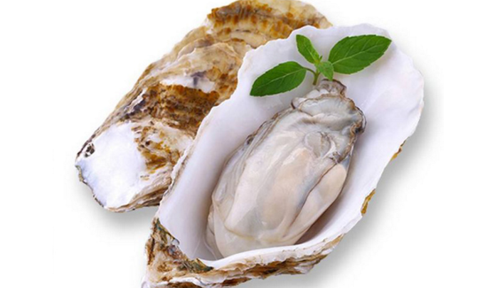 牡蛎肽与壮阳.png
