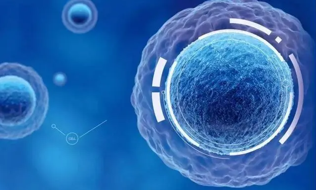 小分肽真的能营养细胞修复细胞吗