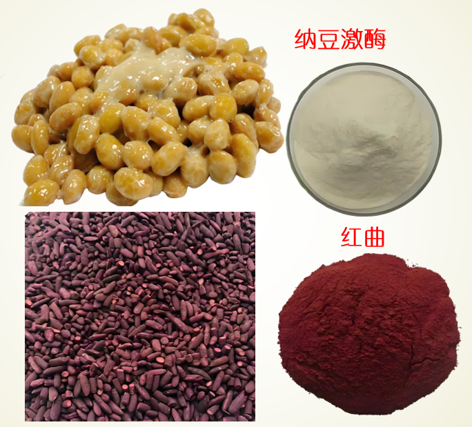纳豆红曲.png