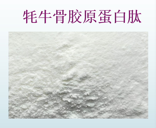 牦牛骨胶原蛋白肽.png