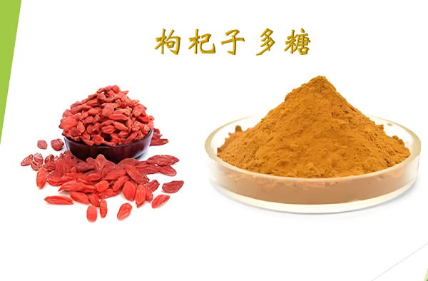 枸杞子多糖.png