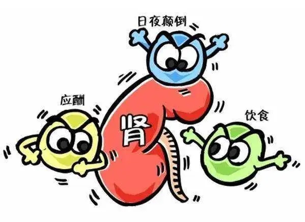 慢性肾功能衰竭.jpg 慢性肾功能衰竭.jpg