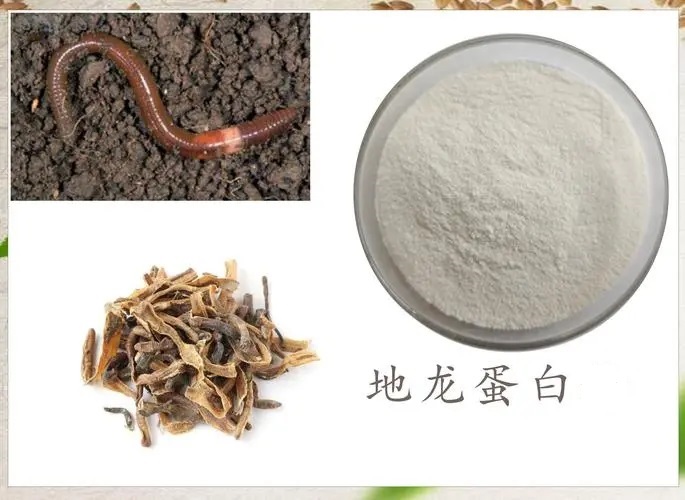 地龙蛋白作用.jpg