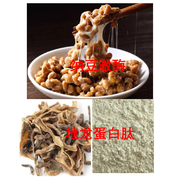 纳豆地龙蛋白肽.png